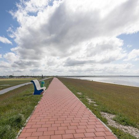Direkt Am Deich - Ferienwohnung Amrum Im Gaestehaus Am Badedeich Dagebüll Dış mekan fotoğraf